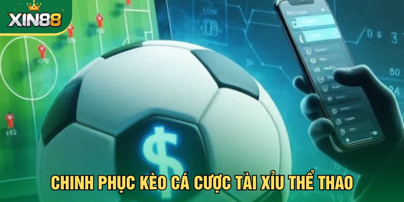 Chinh phục kèo cá cược tài xỉu thể thao