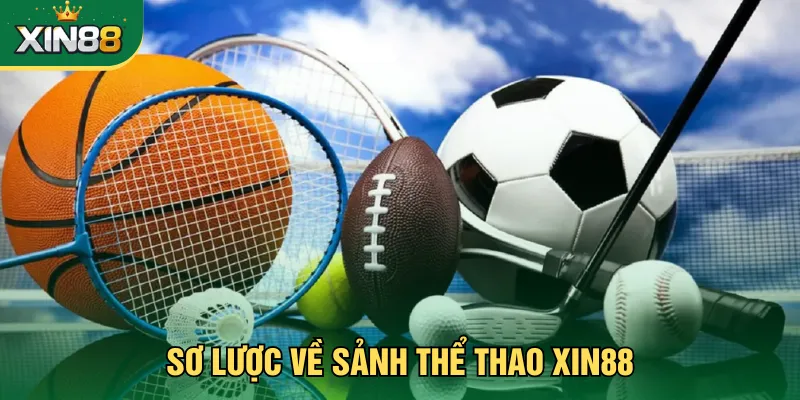 Sơ lược về sảnh thể thao Xin88