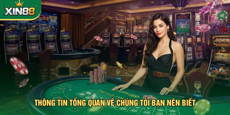 Thông tin tổng quan về chúng tôi bạn nên biết