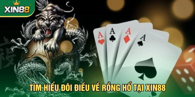 Tìm hiểu đôi điều về rồng hổ tại Xin88