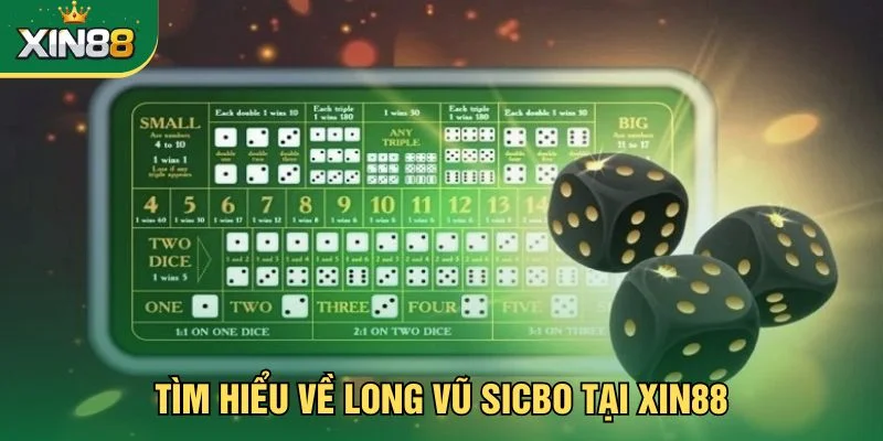 Tìm hiểu về long vũ sicbo tại Xin88