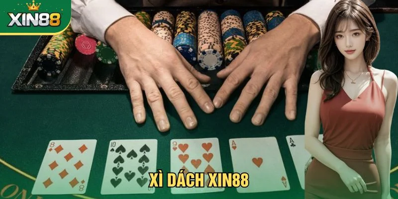 Xì Dách Xin88 - Cách Chơi Và Mẹo Thắng Lớn Cho Tân Thủ