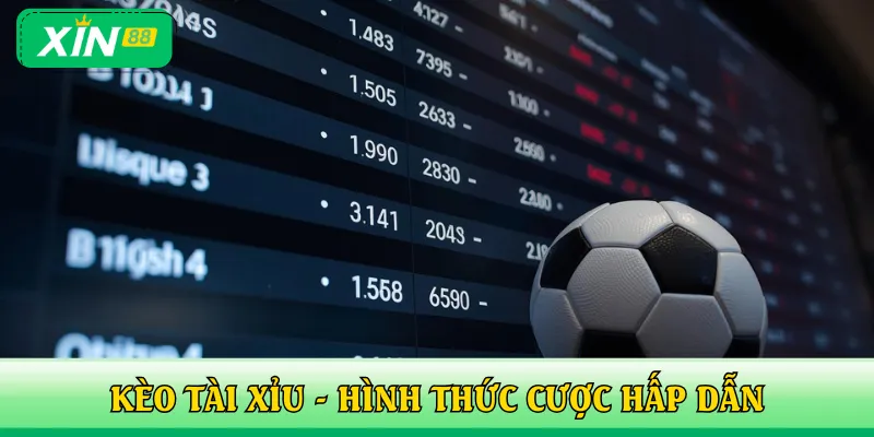 Kèo tài xỉu tập trung dự đoán số bàn thắng chung cuộc