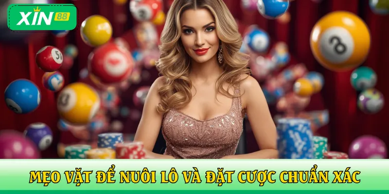 Mẹo vặt hữu ích để nuôi lô và đặt cược chuẩn xác