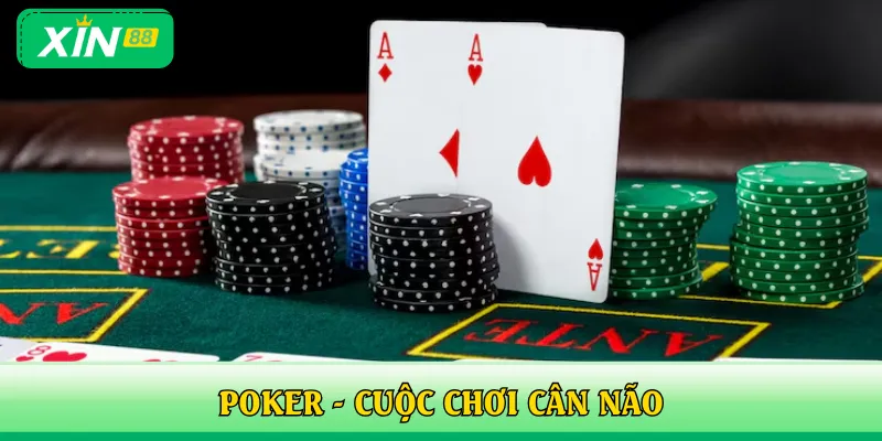 Poker - Cuộc chơi cân não với chiến lược và tâm lý tinh tế